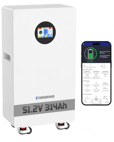 EconomiPower Lifepo4 Batterie LiFePO4 48 V 300 Ah avec BMS 200 A, mémoire solaire 16 kWh, batterie au lithium rechargeable 8000 + cycles 48 V avec BMS 200 A pour système photovoltaïque, camping-car