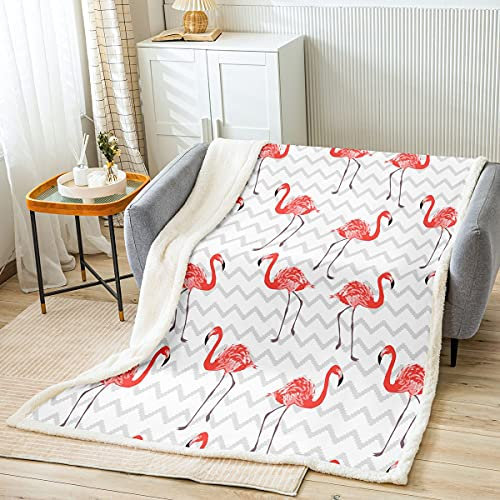 Homemissing Flamingo Wohndecke Kinder Tropisch Rot Flamingo Decke 130x150cm Mädchen Grau Welle Streifen Dekor Kuscheldecke Mikrofaser Tier Vogel Schlafzimmer Flanell Fleecedecke