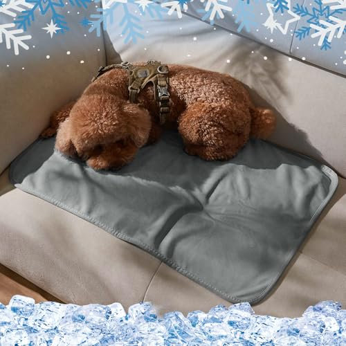 Kritter Planet Kühldecke Katze Hund Bett Wasserdicht, wasserdichte Kühlende Decke Hundedecke für Auto Rückbank Unterwegs Outdoor Sofa Couch Waschbar, Sofadecke Katzendecke Kühlend Klein Grau, 50x75