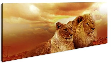 Löwen in Afrika, ruhend im goldenen Gras der Savanne. Panorama 120x60cm XXL Kunstdruck Motiv auf Holzrahmen/Leinwandbild/Wandbild/Wohnzimmer Dekoration