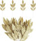 Laelfe 12 Hojas de Navidad Doradas con Brillo | Decoraciones Pailletées para Navidad | Ideal para Coronitas, Arreglos Florales, Centros de Mesa y Decoración de Árbol
