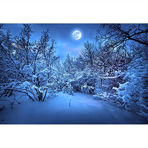 Aoihrraan 3,5x2,5m Hiver Forêt Paysage Photographie Toile De Fond Neige Arbres Pleine Lune Nuit Vue Bois Pays Des Merveilles Fond Noël Nouvel An Fête Famille Fête Extérieur Portrait Photo Studio Props