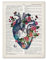Nordic Print Anatomie Menschliche Organe Herz Gehirn Poster Vintage Wandkunst Leinwand Wandmalerei Bilder for Medizinische Klinik Dekor(B,30X40cm no frame)