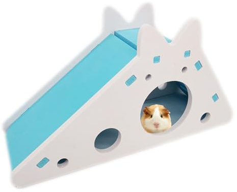Maison pour Hamster avec Toboggan - Petite échelle pour Animaux de Compagnie, Échelle d'activité pour Hamster | Maison pour gerbilles, Jouet d'activité pour Petits Animaux de Compagnie