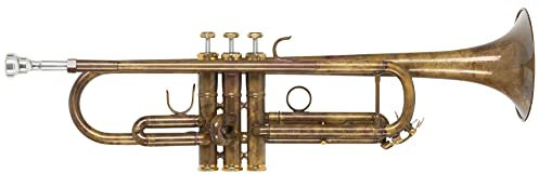 Lechgold TR-16V Bb-Trompete - aus Messing - Edelstahl-Ventile - inkl. Leichtkoffer und Mundstück - säurebehandelt und klarlackiert