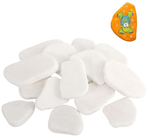 LuLiyLdJ 30 pièces de galets peints, pierres plates, galets de plage, pierres plates pour la peinture, les arts, l'artisanat, la décoration de jardin Blanc