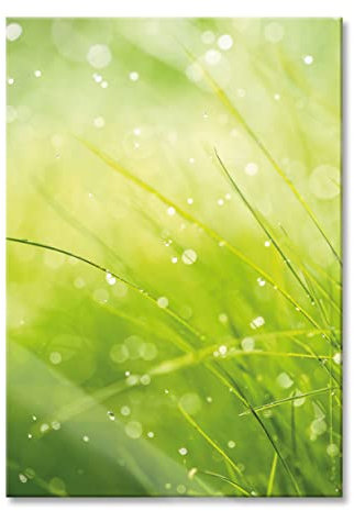 Pixxprint Glasbild, Wandbild aus Echtglas, Nasses Gras, 40x60 cm, inkl. Aufhängung und Abstandshalter