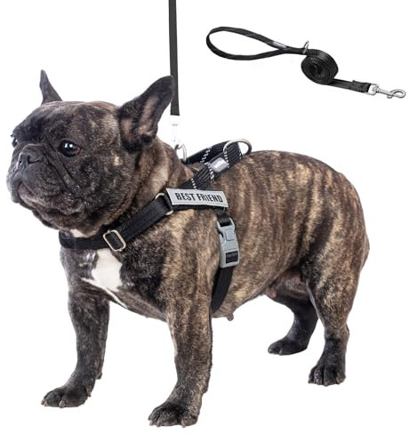 Wuffley Anti-Zug Hundegeschirr mit Leine, Hundegeschirr Kleine Mittelgroße Hunde, Geschirr Hund mit Griff und 2 Aufnähern, Reflektierendes, Leichtes Brustgeschirr Hund für Outdoor-Training(Schwarz,XS