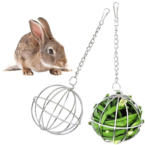 Tkxjry 2 Stück Heuball zum Aufhängen, Nager Futterball Kugel, Metall Heuball, Pet Gras Ball Edelstahl, für Kaninchen, Chinchillas, Hamster, Meerschweinchen und andere Kleintiere