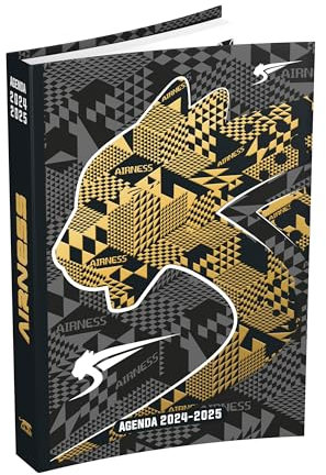 Schülerkalender AIRNESS Fuse 2023 – 2024, Tagesformat, 12 x 17 cm, weicher Einband, Integral, goldfarben