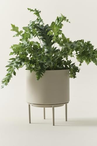 Jotex Monique Übertopf, vielseitiger Blumentopf aus Eisen mit kleinen Gestell für den Innen- und Außenbereich, Beige Pflanzer, 26 cm hoch, Ø 22 cm