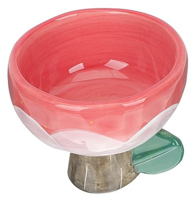 Cabilock Bol à Dessert Céramique Décoratif Bol à Salade Et Coupe à Glace Design Élégant Pour Gâteaux Et Fruits