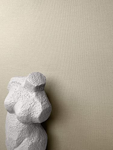 Newroom Tapete Taupe Vliestapete Einfarbig - Edle Farben - Uni Struktur Textil-Optik Abwaschbar Modern Unitapete Strukturtapete inkl. Tapezier-Ratgeber