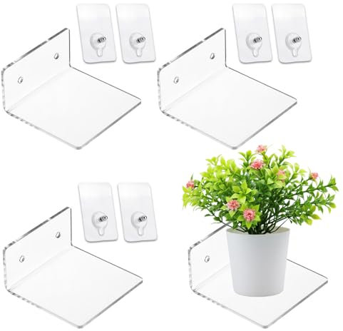 Zasvec Wandregale Ohne Bohren aus Acryl 4 Stück Regal ohne Bohren Acryl Wandregale Unsichtbare Kleines Acryl Wandregal Schwebendes Bücherregal für Wohnzimmer, Schlafzimmer, 10 * 10cm,Transparent