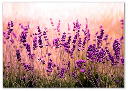 Tulup Spritzschutz Glas Küche 100x70 cm Küchenrückwand Glassplatte Küche Herd Küchenrückwand aus Echtglas Abdeckplatte - Blumen & Pflanzen - Lila - Lavendel