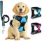SIBOTER Hundegeschirr mit Hundeleine, Reflektierendes Hundegeschirr mittelgroße Hunde, mit Einfache Kontrolle Griff und Rückseite perfekt für Spaziergänge im Freien (M, Blau)