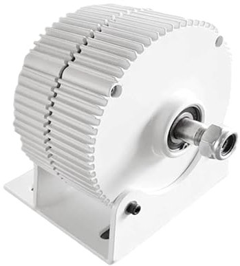 Pale eoliche, 1000W 12V 24V 48V Generatore a magnete permanente a basso numero di giri Turbina eolica fai-da-te 1KW Piccolo alternatore Uso for la casa agricola ,Turbina Eolica(WB,SINGLE SHAFT_48V_100