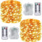SUNNOW 2 Pezzi Stringa Luci LED - 10M/33FT Catene Luminose 100LED Luci Natalizie Batteria Impermeabile IP65, Esterno/Interni Lucine Decorative per Balcone Giardino Feste Natale (Bianco Caldo)