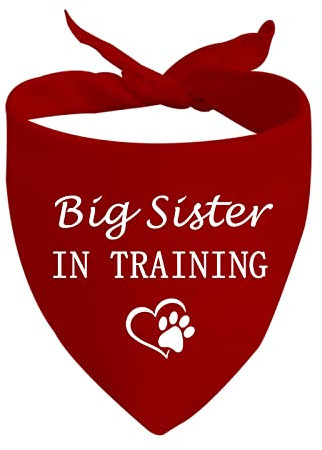 JXGZSO 1 Stück Hundehalstuch für große Schwester/Bruder im Training, Schwangerschaftsankündigung, Geschenk (Big Sister D)