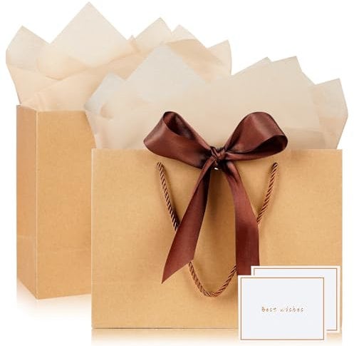 Gift Bags for Present, 2 Pack Medium Gift Bag with 2 Wrappers and 2 Cards, Paper Gifts Bags Shopping Bags with Handles for Women Men Birthday Wedding Party Christmas Bags 20x10x28 cm (Brown)
