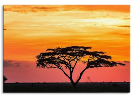 Paul Sinus Wandbild Afrikanischer Sonnenuntergang mit Akazie 100x70cm - Dramatische Abendstimmung, Savanne, Natur, Afrikazauber