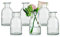 Glasseam Kleine Vasen Set Glasvase, 6 Stück Mini Blumenvase Durchsichtig Vintage Vase Glas Rund Glasvasen Flaschenvase Bunt Klein Geriffelte Tischvase Vasenset Glasflasche Deko für Hochzeit Tischdeko