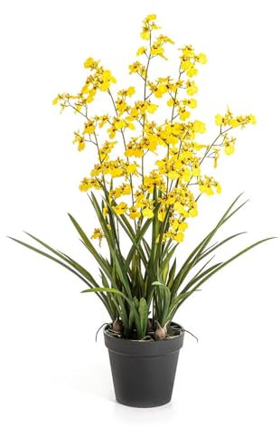 artplants.de Künstliche Orchidee LAFILEA im Dekotopf, gelb, 100cm