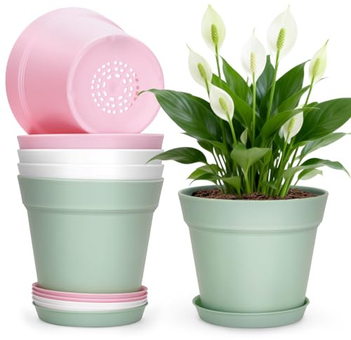 KINGLAKE 15cm Blumentöpfe mit Untersetzer - 6 Stück Pflanztöpfe Klein, übertopf Pflanztopf, Blumentopf Kunststoff Set, Topf Kleine Flower Pot für Pflanzen Kakteen Kräuter-Bunt