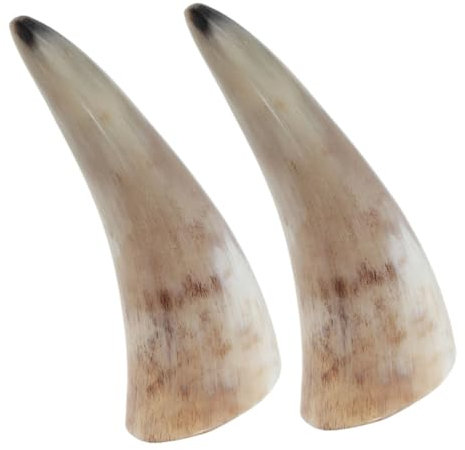 Genérico Tazas De Cuerno De Buey Natural Hechas 2 Piezas Copas Vikingas Para Beber Vino y Cerveza Decorativas y Ergonómicas Longitud De 13-15 Cm