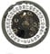 Reparatur-Automatik-Uhrwerk Datum bei 3 weißen Zifferblatt-Kalender für Seiko (SII) NH35/NH35A Uhrwerk Reparatur Teil Zubehör