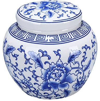PRETYZOOM Boîte à Thé En Céramique Bleu Blanc 500ml Récipient Hermétique Avec Couvercle Conservation Du Thé La Cuisine Salon