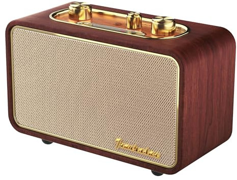 Retro Bluetooth Speaker with AM/FM Radio, Portable, Wireless