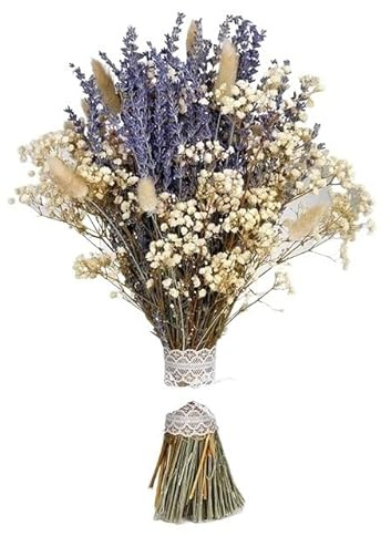 Pampas Decorative Decorazioni con erba della pampa, bouquet da damigella d'onore, bouquet da sposa con fiori di lavanda secchi, composizioni floreali con code di coniglio essiccate naturali Pampas Gra