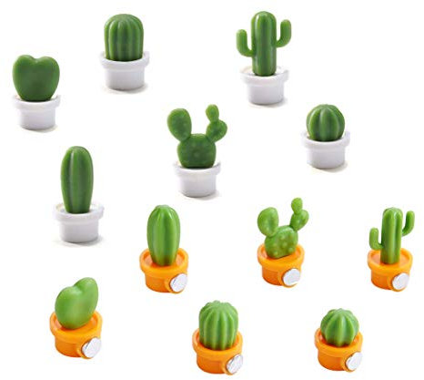 OYEFLY 12pcs Cute Succulent Plant Magnetic Refrigerator Magnets Cute Home Decor Refrigerator Stickers Creative Notice Message Magnetic Stickers Gift (White+Orange)