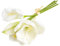 Botanic-Haus künstliches Amaryllis Bündel (weihnachtliche Blume) mit 3 Blüten und 1 Knospe Farbe: Creme-weiß