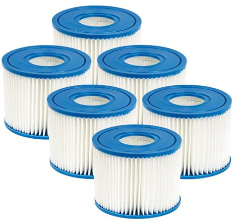WuYan Lot de 6 filtres de piscine compatibles avec Intex Type S1