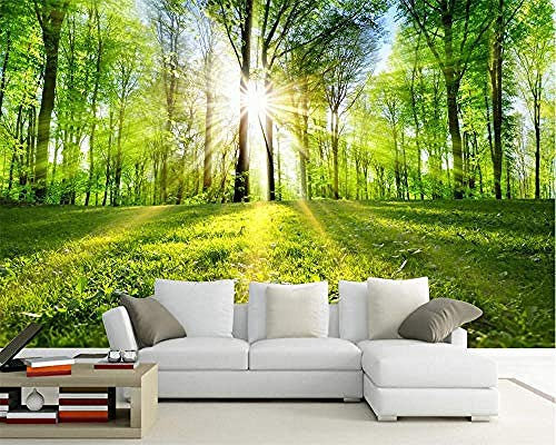Custom Wallpaper Mural Sunny Woodland Tree Nature Landscape Living Room Tv Background Wall Covering Home Decor 3D Wallpaper Paste Living Room The Wall for Bedroom Mural-250Cm×170Cm