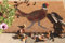 Lord of Rugs Printed Coir Door Mat for Home Entrance Indoor and Outdoor, Patio, Balcony Non-Slip Durable Natural Coconut Fiber Doormat in 45x75 cm Pheasant