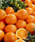 Arancio “citrus sinesis”, Pianta innestata in fitocella di 2/3 anni, Agrumi di Sicilia, Made in Italy, Vivaio di Castelletto