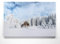 Atemberaubende Winterlandschaft auf Leinwand, Hütte im Schnee - als 120x60cm großes XXL Leinwandbild. Wandbild als Hintergrund und Deko für Wohnzimmer & Schlafzimmer. Aufgespannt auf Holzrahmen