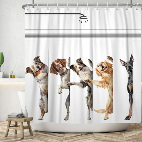 ASDCXZ Lustig Duschvorhang 180x220 cm, Modern Einfachheit Lustig Hund Baden Waschbar Duschvorhänge Polyester Stoff Wasserdicht Anti Schimmel Duschvorhang für Badewanne mit 12 Haken