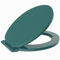 OISE ART STORE Trade Shop - Sedile Coprivaso WC Water Copriwater Bagno in PVC Universale Verde Scuro 59024 -