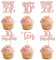 24 Stück 10th Geburtstag Tortendeko Straight Outta 2015 Cupcake Toppers Ten Awesome Since 2015 Kuchen Deko für 10. Geburtstag Jahrestag Party Kuchen Dekorationen Rosegold