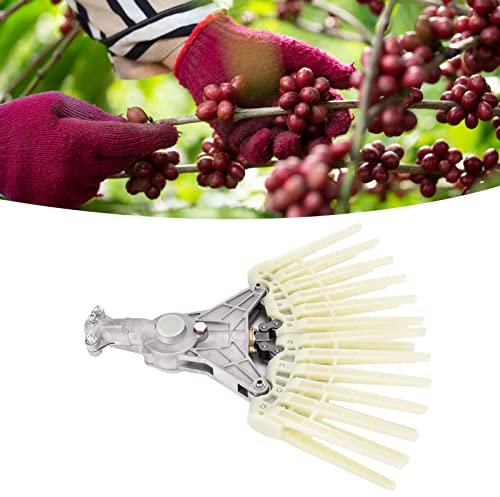 Raccogli Olive, Rastrello Elettrico da Giardino, Testa Raccoglitrice, Rastrello da 26 Mm 9T, Chicco di Caffè, Cacao, Strumento Per La Raccolta delle Olive, Testa di Ricambio, Accessorio Per Fattoria D
