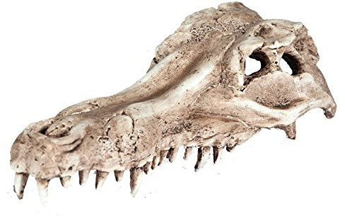 Pet Ting Alligator Totenkopf Aquatic Ornament – Aquarium Dekoration – Vivarium Dekoration