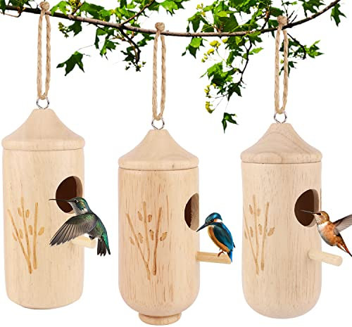 3 Pezzi Casetta per Colibrì, Nido di Colibrì in Legno con Spago Casette per Colibrì per Esterni Casetta per Uccelli da Appendere per Giardino Decorazione per Finestra all'aperto