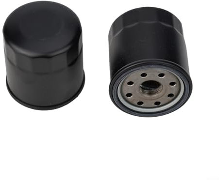 Coppia di filtri dell'olio per prestazioni migliorate su modelli come 52114 e 600976 Affidabili e convenienti