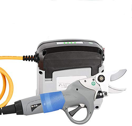 CGOLDENWALL Tijeras de poda eléctrica para rama fuerte, herramientas de jardín, tijeras de árbol de fruta, tijeras de rama gruesa recargable (30 mm)