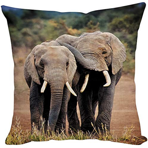 YISUMEI Kissenbezug 80x80 cm Paar Elefanten Kissenhülle for Sofa Bett Auto