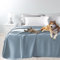 Byour3 – Tagesdecke SUPER wasserdichte Bettschutz Fleckenbeständig für Doppelbett Einzelbett Anti-Schimmel Anti-Tierhaar Katzen Hunde Haustiere Kinder Waschbare Decke (Hellblau, Queen Size)